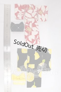 画像2: ネオブライス/OF：着物セット I-26-05-14-224-KD-ZI
