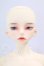 画像1: DAYDREAM/Laurent I-26-05-14-425-KD-ZI (1)