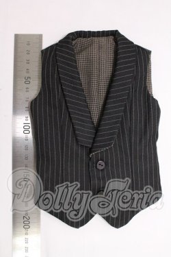 画像3: SD17BOY/衣装：ベスト I-26-05-14-387-KD-ZI