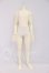画像1: 2d Doll/1/4ボディ I-26-05-21-237-KD-ZI (1)