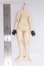 画像2: UFdoll/1/6/ボディ I-26-05-14-253-KD-ZI (2)