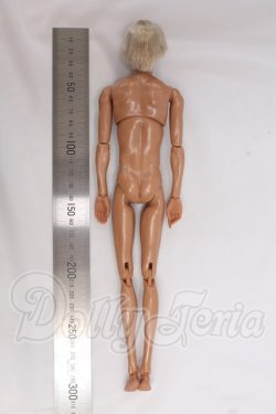 画像5: 六分の一男子図鑑/ナイン B2405 I-26-05-14-251-KD-ZI
