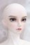 画像2: MYOU DOLL/Carl I-26-05-14-416-KD-ZI (2)