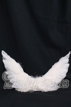 画像1: SD/OF:天使の羽 I-26-05-21-085-KD-ZI