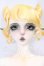 画像1: Coral Reef Doll/Unicorn Beetle I-26-05-28-051-KD-ZI (1)