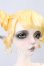 画像2: Coral Reef Doll/Unicorn Beetle I-26-05-28-051-KD-ZI (2)