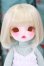 画像1: ChicaBi/Chibi Milk mimi I-26-05-21-234-KD-ZI (1)