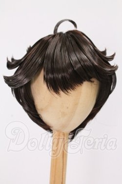 画像1: 8-8.5inch/ウィッグ I-26-05-21-248-KD-ZI