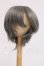 画像1: 9-10inch/ウィッグ I-26-05-28-212-KD-ZI (1)