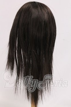 画像2: 9-10inch/ウィッグ I-26-05-28-211-KD-ZI