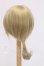 画像2: 9-10inch/ウィッグ I-26-05-28-214-KD-ZI (2)