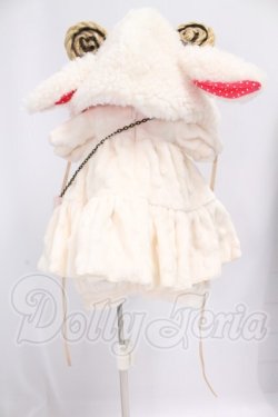 画像2: MDD/OF:衣装セット I-26-06-04-155-KD-ZI