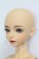 画像3: Myoudoll/carr I-26-06-25-457-KD-ZI (3)