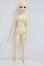 画像4: Myoudoll /Delia  1/4 I-26-06-25-456-KD-ZI (4)