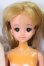 画像3: ジェニー/本体3体セット I-26-06-11-186-KD-ZI (3)