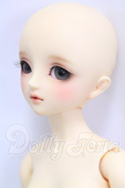 画像3: SDC/mina I-26-06-11-001-KD-ZI