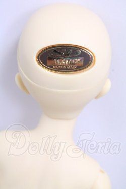画像5: SDC/mina I-26-06-11-001-KD-ZI