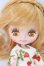 画像1: プチブライス/カスタムプチブライス I-26-06-11-152-KD-ZI (1)