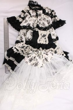 画像5: SD/OF:ディーラー様製ドレス I-26-06-11-244-KD-ZI