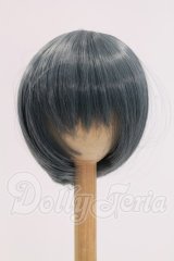 9inch/ウィッグ　インソムニア様製 I-26-06-11-035-KD-ZI
