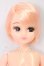 画像1: リカちゃんキャッスル/リカちゃん:お人形教室スペシャル(ショート系) I-26-06-11-069-KD-ZI (1)