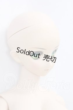 画像4: DD/セイバー Fate/EXTRA Ver. I-26-06-11-231-KD-ZI