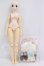 画像2: AZONE/1/3H.A.F：白崎つぐみ　大図書館の羊飼い I-26-06-11-210-KD-ZI (2)