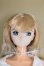 画像1: VOLKS/1/6クラウディア I-26-06-18-242-KD-ZI (1)