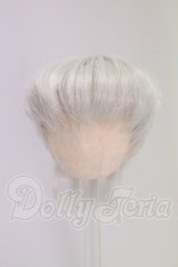 4.5inch/ウィッグ I-26-06-11-318-KD-ZI