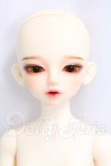 LUTS/Kid Delf KIWI I-26-06-11-233-KD-ZI