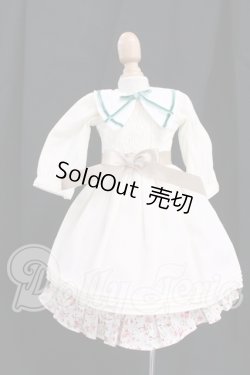 画像1: SDM/OF:コーディネートモデル衣装セット:VOLKS製 I-26-06-11-335-KD-ZI