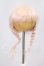 画像1: 5inch/ウィッグ I-26-06-25-025-KD-ZI (1)