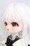 画像3: TinyFox/夕暮れ子猫 カサンドラ  I-26-06-18-221-KD-ZI (3)