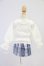 画像2: MDD/OF:衣装セット I-26-06-25-213-KD-ZI (2)