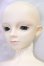 画像4: SD13男の子/KAI I-26-06-25-116-KD-ZI (4)