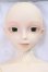 画像1: SD13BOY/フルチョイスF-17 I-26-06-25-118-KD-ZI (1)