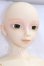 画像3: SD13BOY/フルチョイスF-17 I-26-06-25-118-KD-ZI (3)
