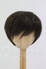 8-9inch/ウィッグ I-26-07-02-248-KD-ZI