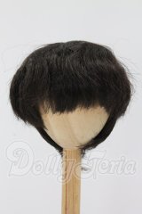 8-9inch/ウィッグ I-26-07-02-247-KD-ZI