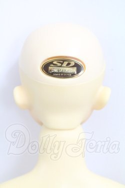 画像4: SD13BOY/ワンオフモデル：クリスタル I-26-07-02-199-KD-ZI