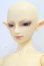 画像2: SD13BOY/ワンオフモデル：F-30 I-26-07-02-252-KD-ZI (2)