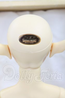 画像6: SD13BOY/ワンオフモデル：F-30 I-26-07-02-252-KD-ZI