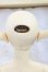 画像6: SD13BOY/ワンオフモデル：F-30 I-26-07-02-252-KD-ZI (6)