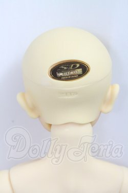 画像6: SD13BOY/ワンオフモデル：セシル I-26-07-02-253-KD-ZI