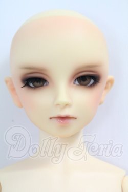 画像1: SD13BOY/ワンオフモデル：セシル I-26-07-02-255-KD-ZI