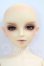 画像1: SD13BOY/ワンオフモデル：セシル I-26-07-02-255-KD-ZI (1)