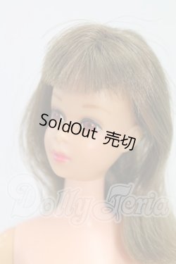 画像2: Barbie/ヴィンテージフランシー I-26-07-09-160-KD-ZI