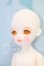 画像2: LINA CHOUCHOU/Sweets Project　Coffee Cookie　Poyo I-26-07-16-102-KD-ZI (2)