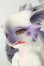画像2: Aileen Doll/Angel shy 10th anniversary Black ver. I-26-07-16-359-KD-ZI (2)