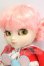画像2: プーリップ/マイメロディ  I-26-07-23-110-KD-ZI (2)